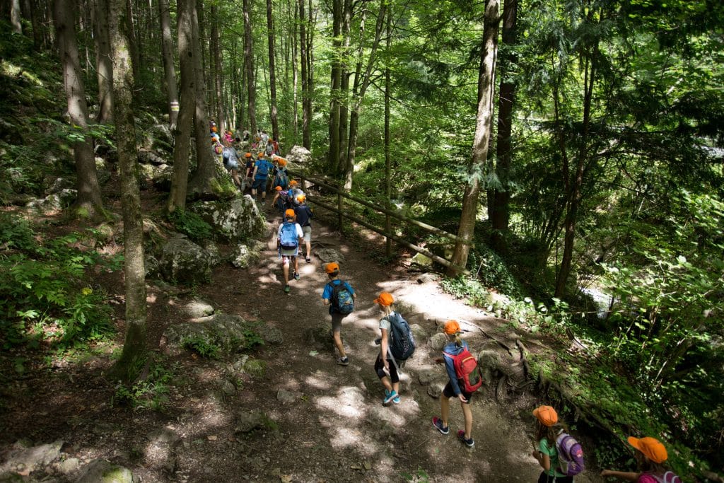 School children in forest